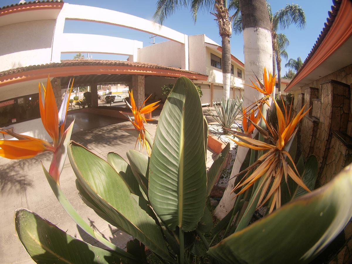 Auto Hotel Niza ทลาคิวปาก ภายนอก รูปภาพ